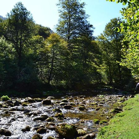 Gites Communaux A Lourdios المظهر الخارجي الصورة