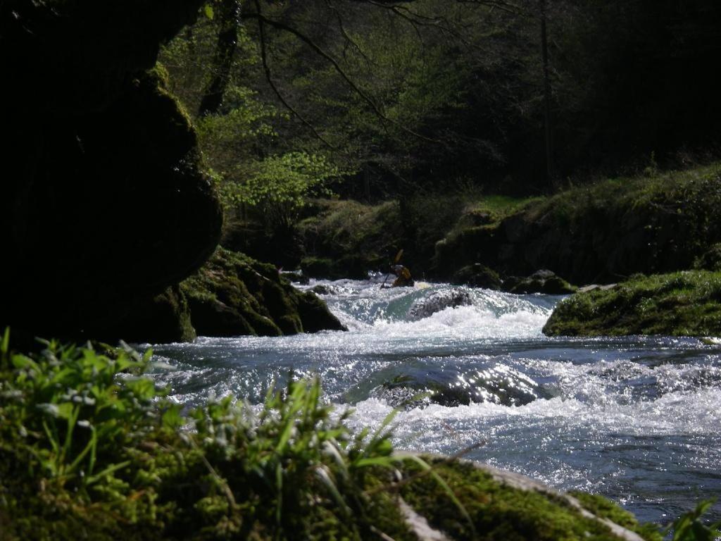 Gites Communaux A Lourdios المظهر الخارجي الصورة