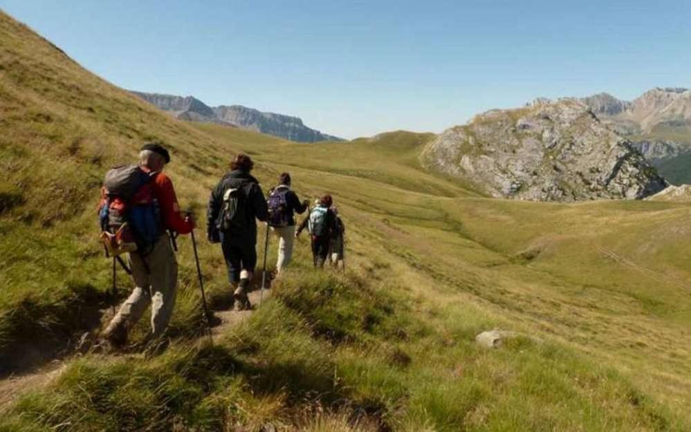 Gites Communaux A Lourdios المظهر الخارجي الصورة